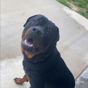 Meet your Posher, Audrey